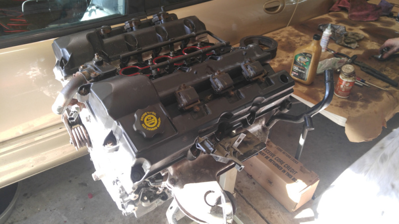 Valve covers cleaned and installed. Plugs, coils and fuel rail installed. Intrepid_017.jpg