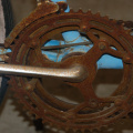 DSC 1654